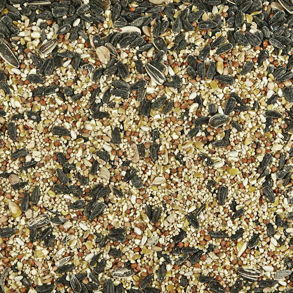 Kaytee Birders Blend Wild Bird Seed