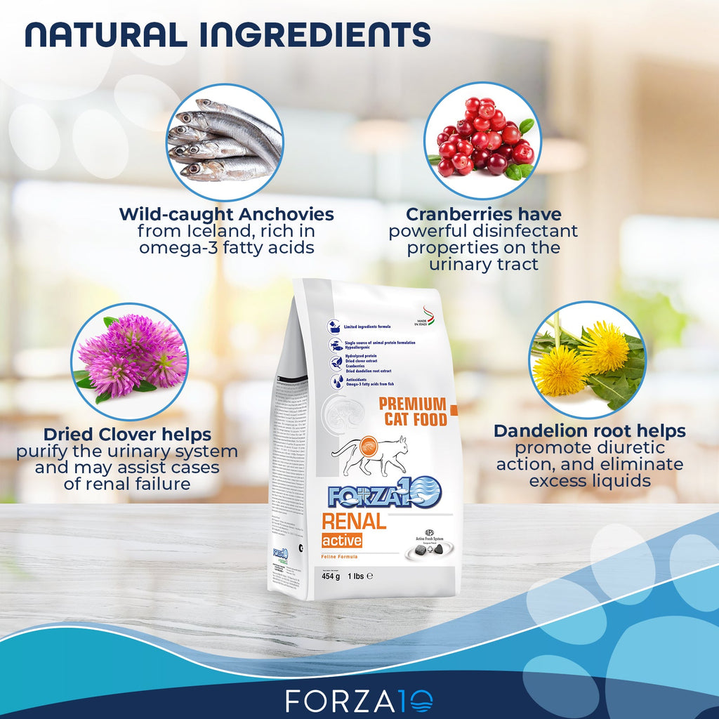 Forza10 Active Renal Dry Cat Food | Pet Oasis