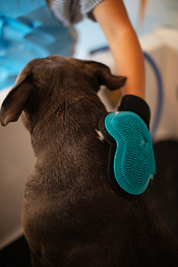 Messy Mutts Reversible Silicone Pet Grooming Glove