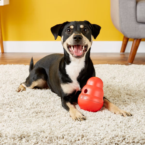 Kong Wobbler Dog Toy