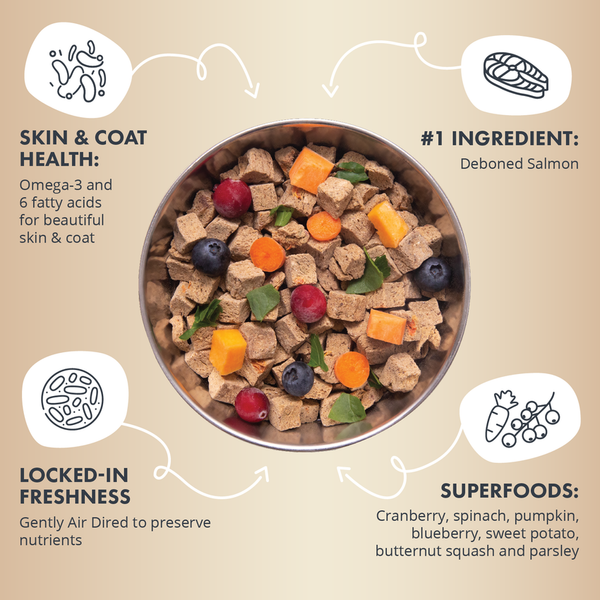 Health Extension Gently Air Dried Salmon Recipe Dog Food