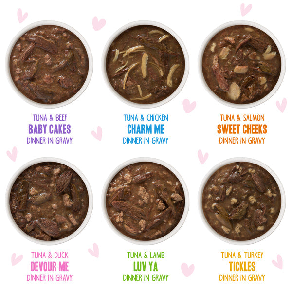 Weruva B.F.F. OMG Rainbow Á Gogo Variety Pouched Cat Food