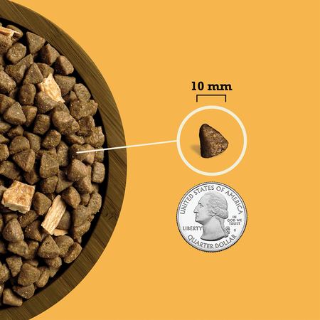 Acana Butcher's Favorites Free Run Poultry & Liver Recipe Dog Food