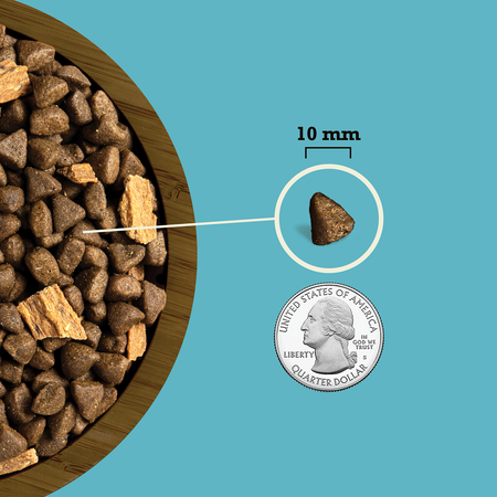 Acana Butcher's Favorites Wild Caught Salmon Recipe Dog Food