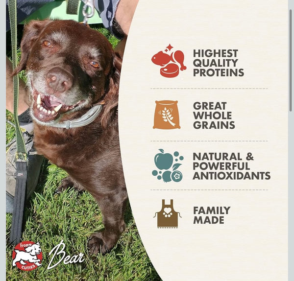 Fromm Adult Dog Food Chicken And Brown Rice