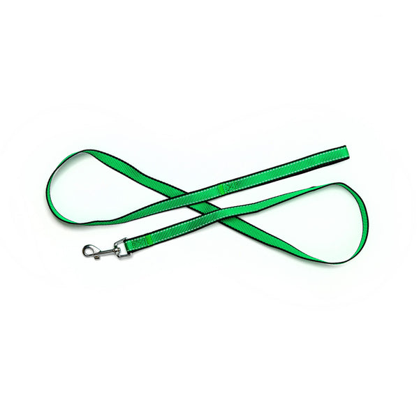 Bark Appeal 1 in Reflective Dog Leash