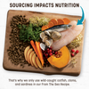 Earth Animal Air-Dried Sea Recipe Dog Food