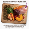 Earth Animal Air-Dried Turkey Recipe Dog Food