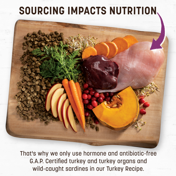 Earth Animal Air-Dried Turkey Recipe Dog Food