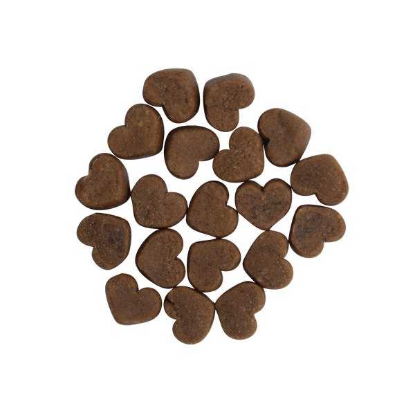 Health Extension Impawfect Bacon Training Dog Treats