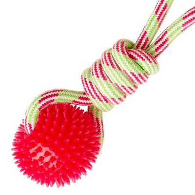 SnugArooz Spike-O-Mite Dog Toy