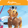 Rawz Aujou Chicken Breast & Duck Pouch Dog Food