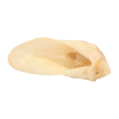 Redbarn Lamb Ear Dog Treats
