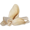 Redbarn Cow Ear Dog Treats