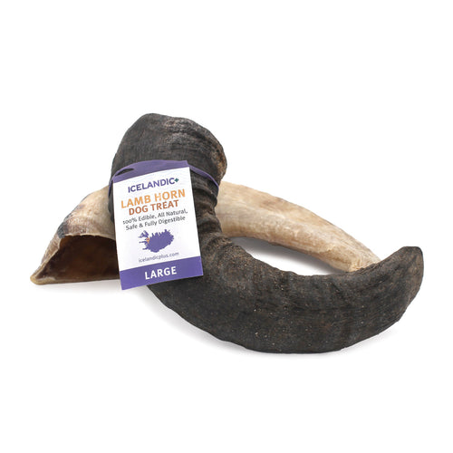 Icelandic Lamb Horn Dog Chew