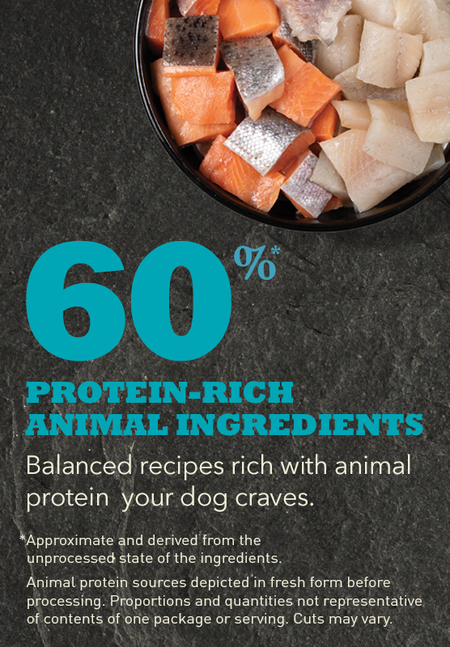 Acana Freshwater Fish Recipe Dog Food