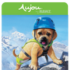 Rawz Aujou Salmon, Beef & Aku Tuna Pouch Dog Food
