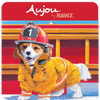 Rawz Aujou Aku Tuna, Beef & Beef Liver Pouch Dog Food