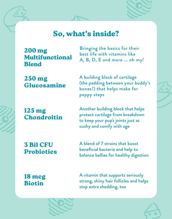 Bocce's Bakery Multivitamin Dog Supplements