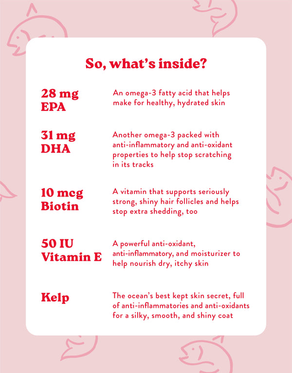 Bocce's Bakery Skin & Coat Dog Supplements