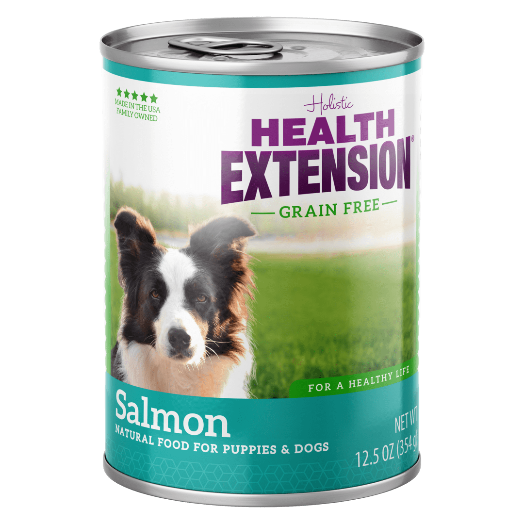 Health Extension Grain Free Salmon Entrée Canned Dog Food