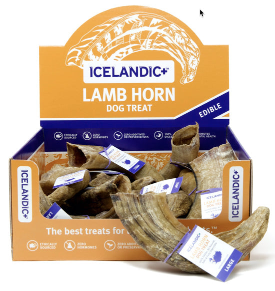 Icelandic Lamb Horn Dog Chew