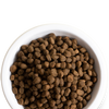 Open Farm Wild-Caught Salmon & Ancient Grains Dry Dog Food