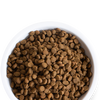 Open Farm Wild-Caught Salmon Dry Cat Food