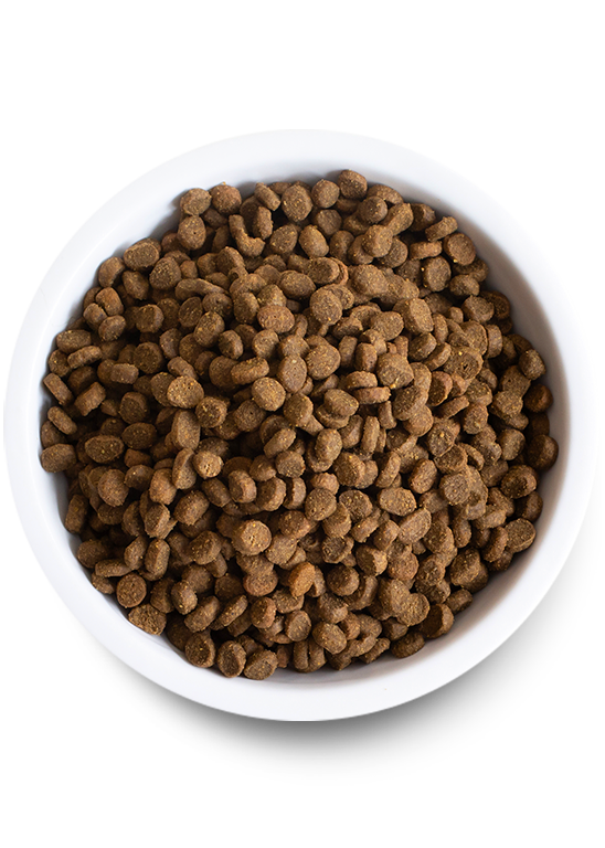 Open Farm Wild-Caught Salmon Dry Cat Food