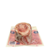 Primal Raw Recreational Beef Marrow Bones