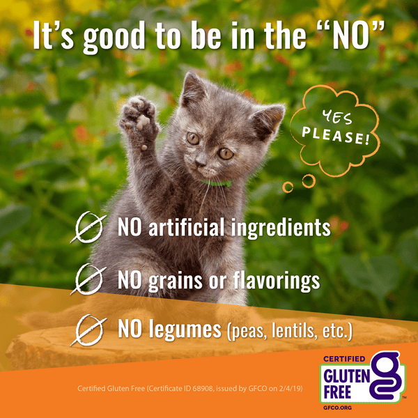 Vital Essentials Vital Cat Rabbit Bites Cat Treats