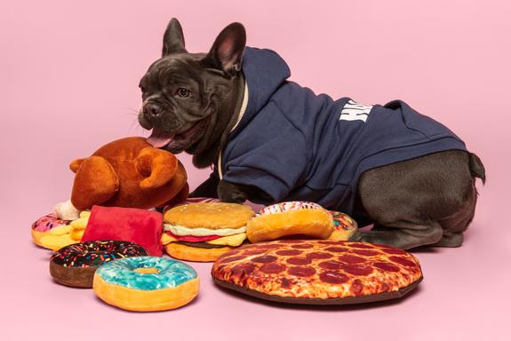 Fabdog Box Of Doughnut Dog Toys