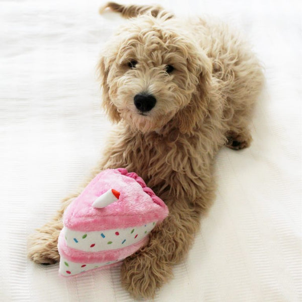 Zippy Paws Birthday Cake Pink Dog Toy