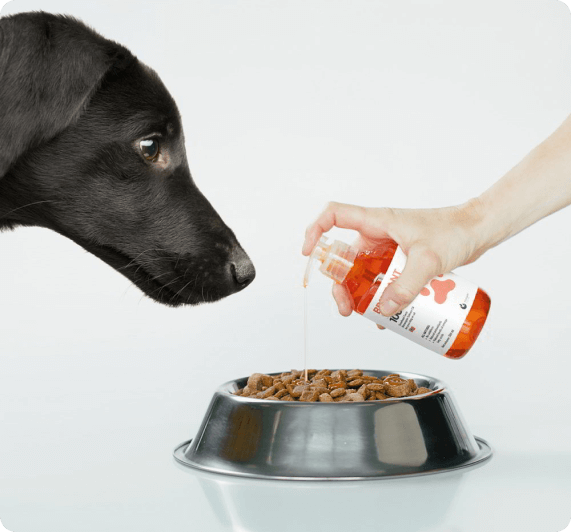 Brilliant Salmon Oil Pet Supplement