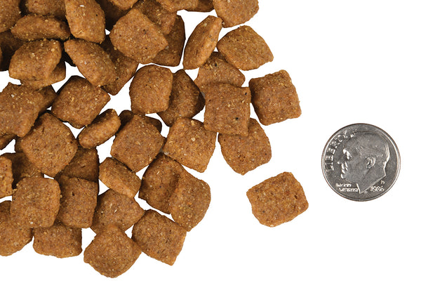 Fromm Gold Adult Dog Food