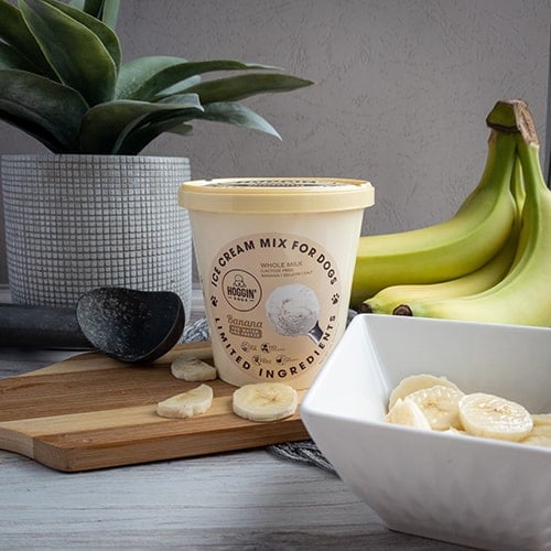 Puppy Scoops Hoggin' Dogs Banana Ice Cream Mix Dog Treat