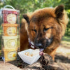 Hoggin Dogs Sample Pack Dog Treats