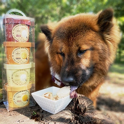 Hoggin Dogs Sample Pack Dog Treats