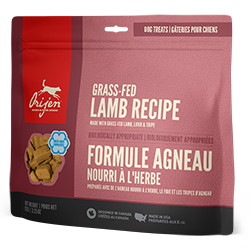 Orijen Grass-Fed Lamb Freeze Dried Dog Treats
