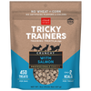 Cloud Star Tricky Trainers Salmon Flavor Crunchy Dog Treats
