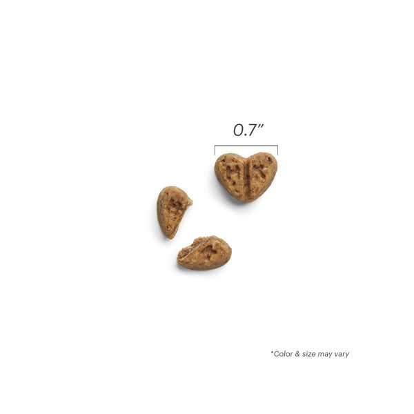 The Honest Kitchen Parmesan Pecks Chicken & Cranberry Dog Treats