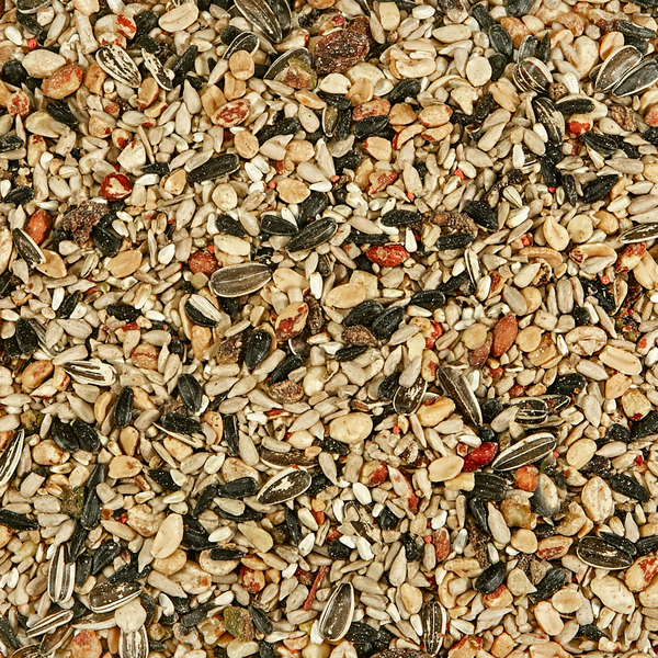 Kaytee Nut & Fruit Blend Wild Bird Food