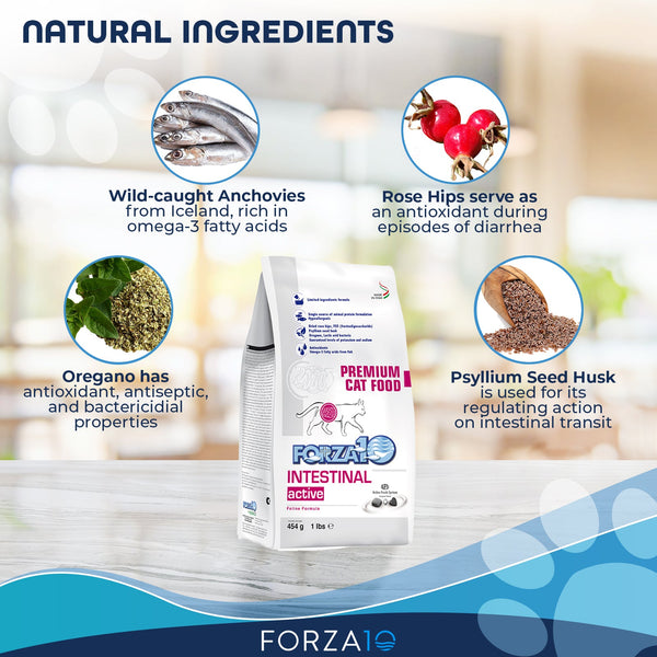 Forza10 Active Intestinal Dry Cat Food