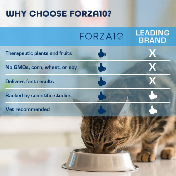 Forza10 Active Intestinal Dry Cat Food