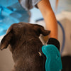 Messy Mutts Reversible Silicone Pet Grooming Glove