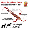 Barking Buddha Braided Bully Stick 12″ Dog Treats