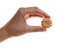 files/Chicken-oat-cookie-hand.jpg