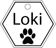 Pet Oasis Custom Pet Tags
