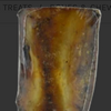 Jones Rib Bone - Large