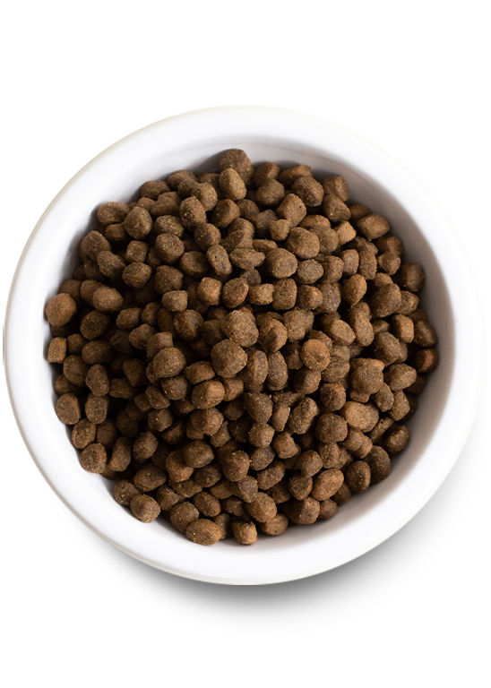 Open Farm Small Breed Ancient Grains Dry Dog Food